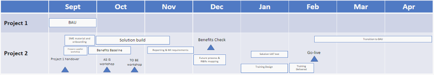 what is a project timeline inforgraphic