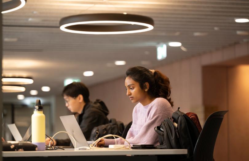 A student sits at a desk, studying on a laptop. 