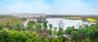 The UESTC campus in Chengdu in late Spring with flowers in bloom