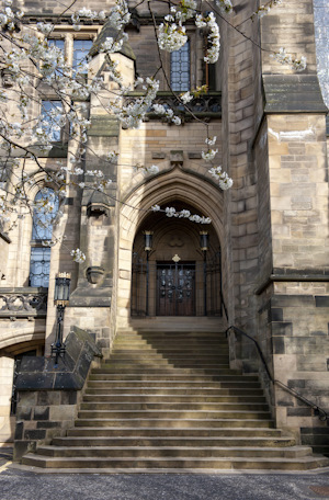 Memorial chapel stairs and tree branches