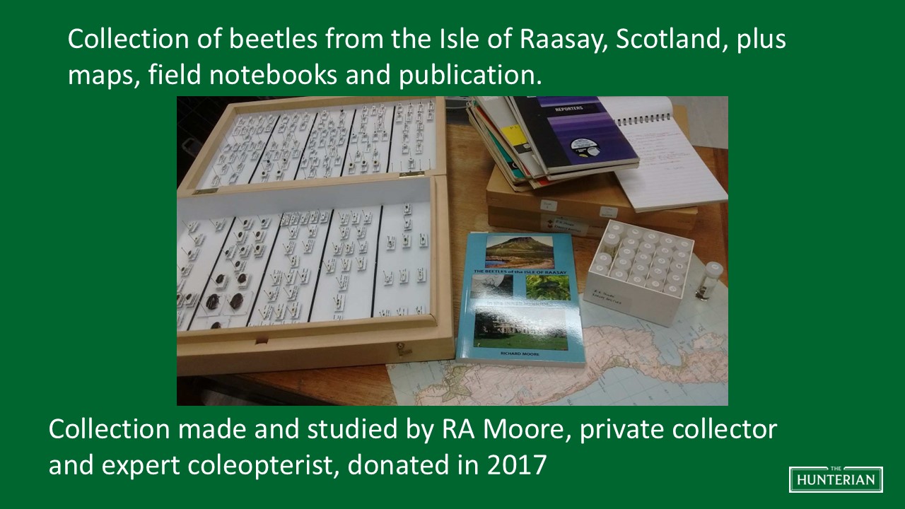 Collection of beetles from the Isle of Raasay plus maps, field notebooks and publication