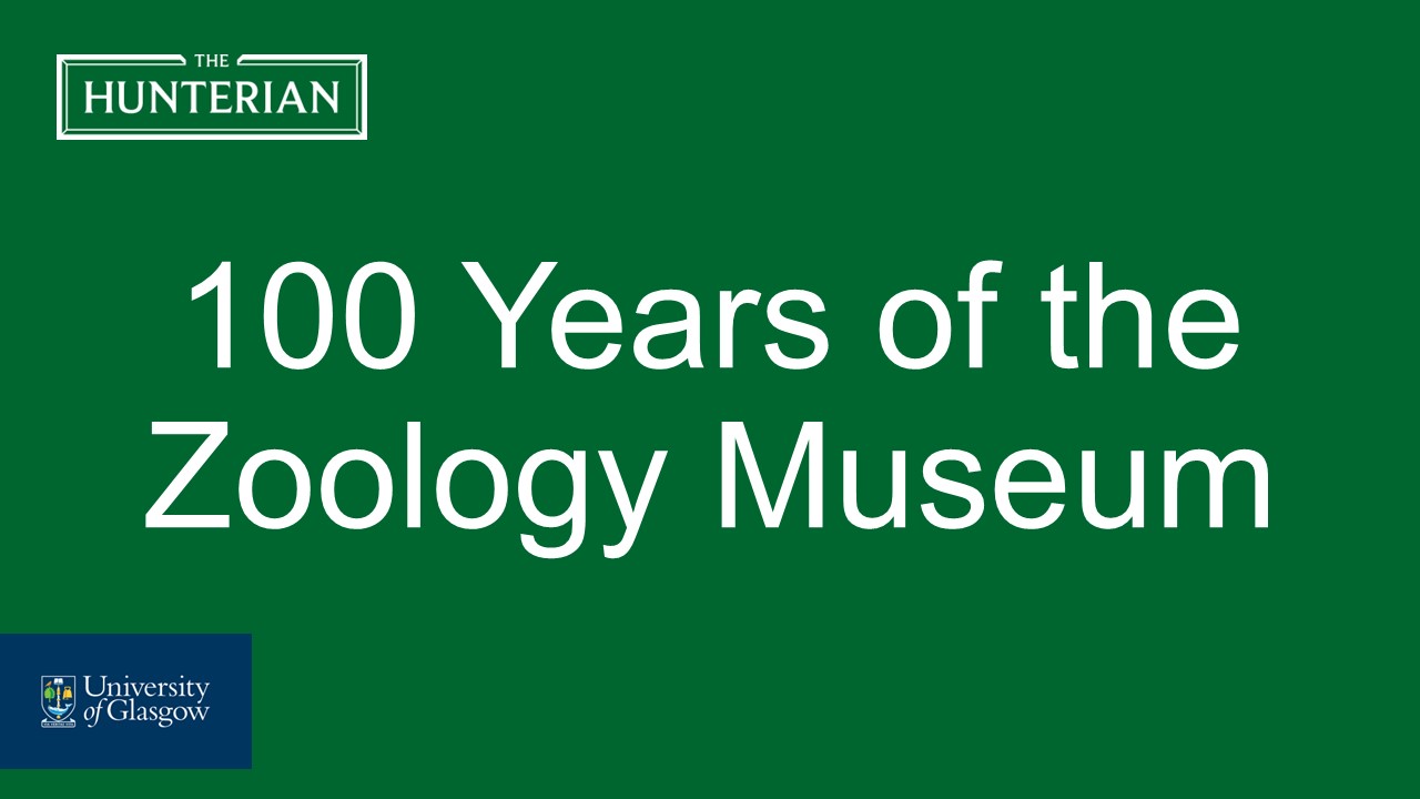 100 Years of the Zoology Museum