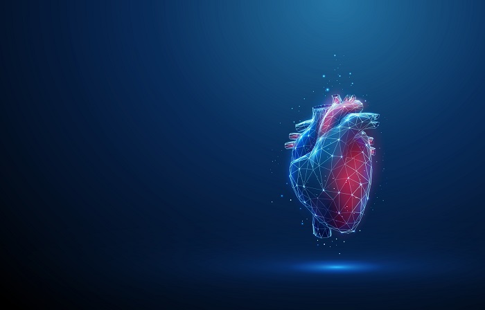 An illustration of a heart on a blue background