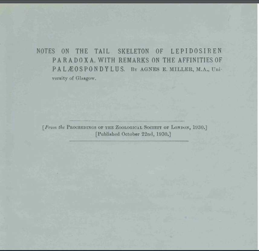 Miller’s paper in the Proceedings of the Zoological Society of London on lungfish tail structure and Palaeospndylus