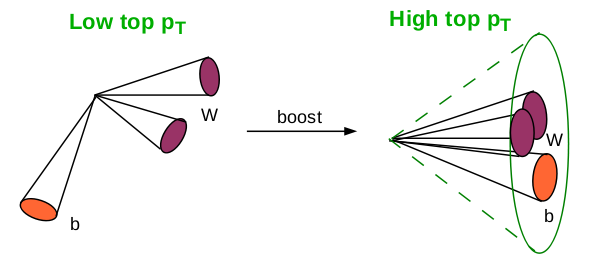 Boosted top quark decay products inside a large radius jet