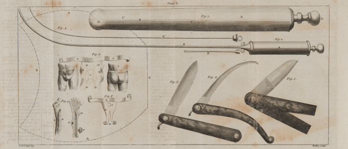 Plate from Hunterian Ab.6.22