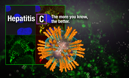 Infograph of Hepatitis C virus image with the words 'Hepatitis C The more you know, the better