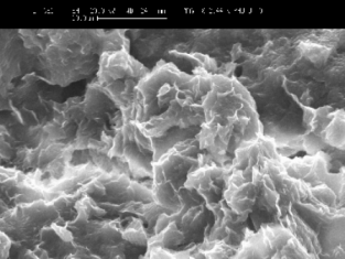 SEM image of bentonite, Samos