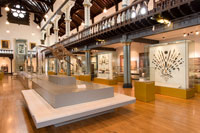 Hunterian Museum