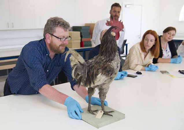 Delegates at the UNIVERSEUM conference, Object Journeys study day, 11 June 2018.