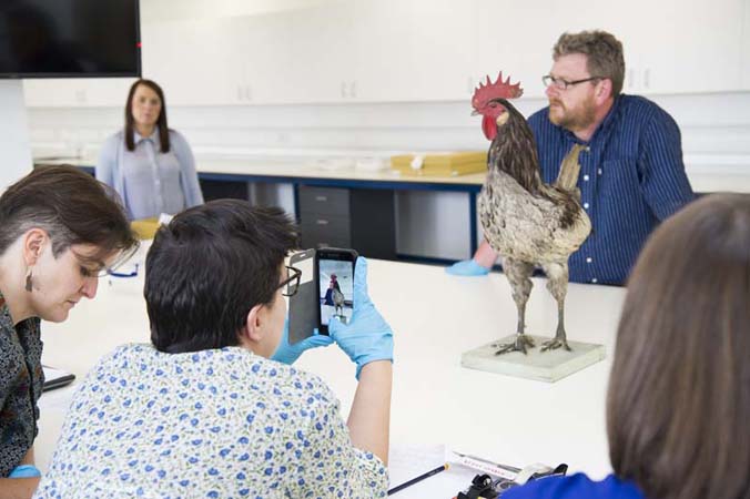 Delegates at the UNIVERSEUM conference, Object Journeys study day, 11 June 2018.