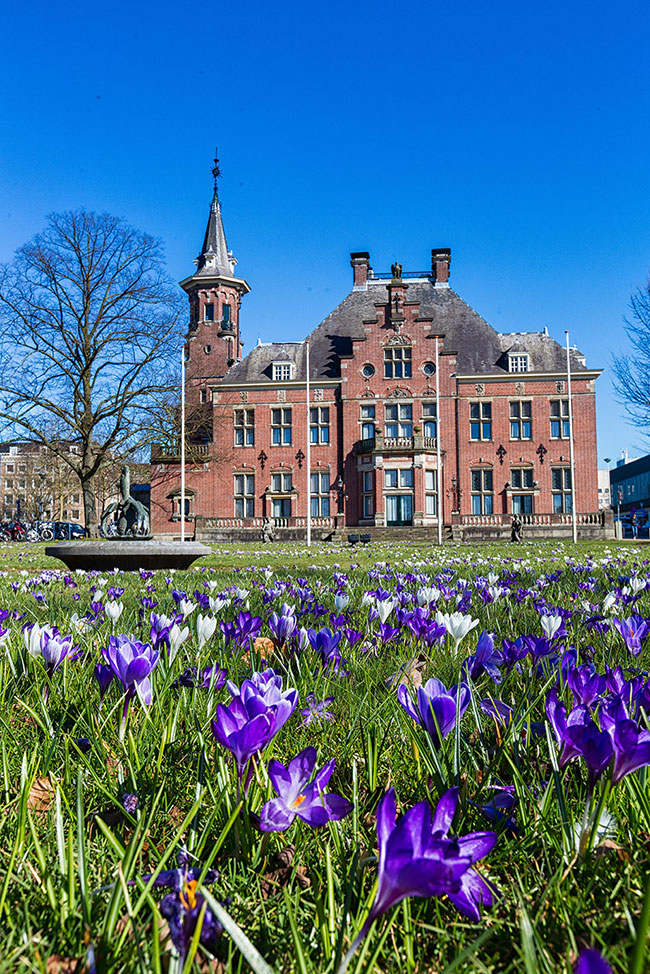 Radboud University 650