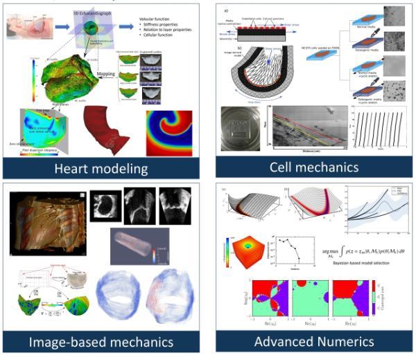 Research overview