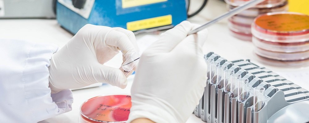 Close-up of gloved hands in lab