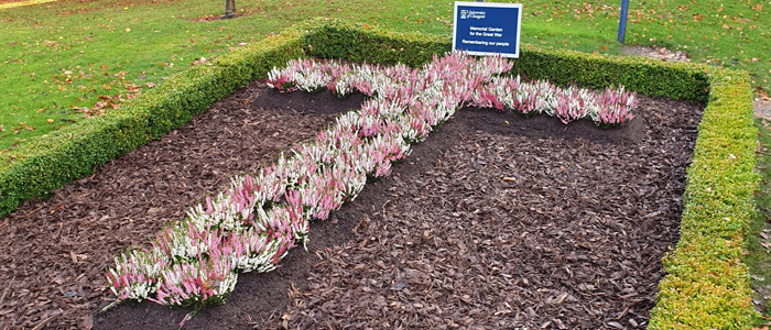 Cross made out of poppies in the University gardens