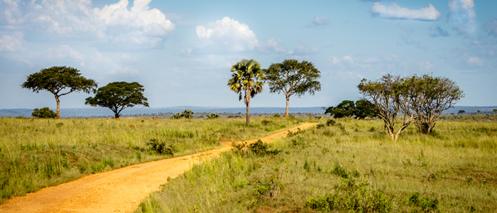 Photo of African landscape