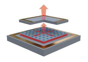 Vector photonics PCSEL