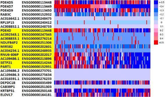 Image of a heatmap