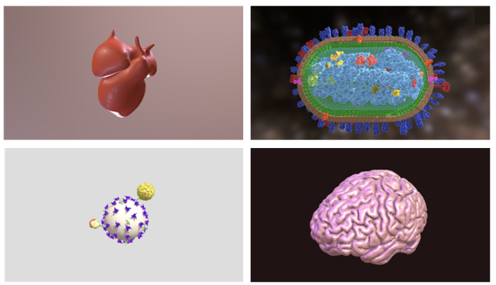 Examples of constructs that can be designed from CLSM data. 